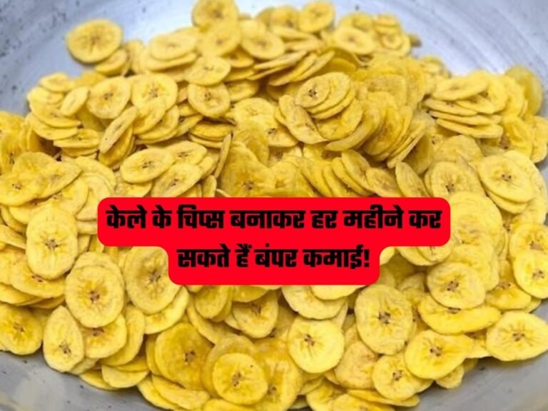 Banana Chips Business: केले के चिप्स बनाकर हर महीने कर सकते हैं बंपर कमाई!