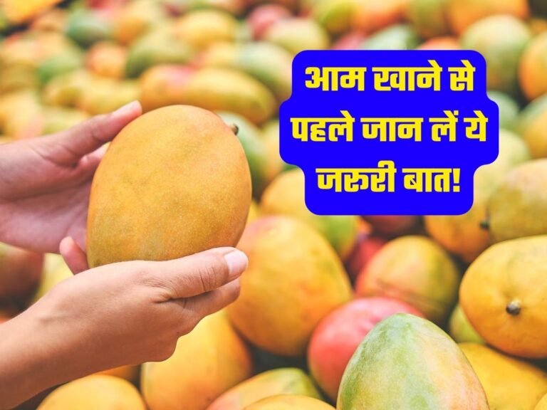 Mango: आम खाने से पहले जान लें ये जरूरी बात!