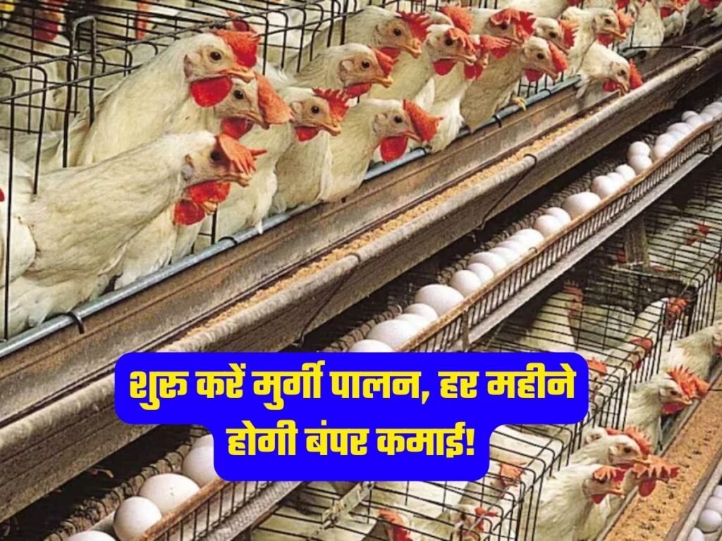 Poultry Farming Business: शुरू करें मुर्गी पालन, हर महीने होगी बंपर कमाई!