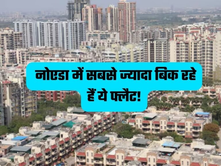 Property News: नोएडा में सबसे ज्यादा बिक रहे हैं ये फ्लैट!