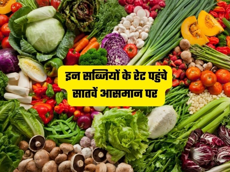 Vegetables Price Hike: इन सब्जियों के रेट पहुंचे सातवें आसमान पर, जानें ताजा रेट