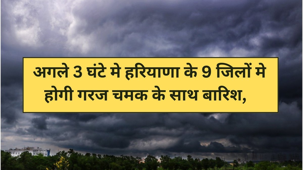 haryana weather news