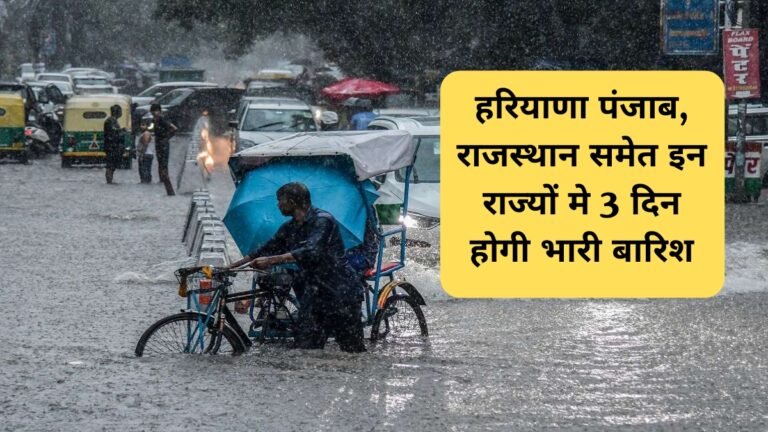 haryana monsoon rain alert