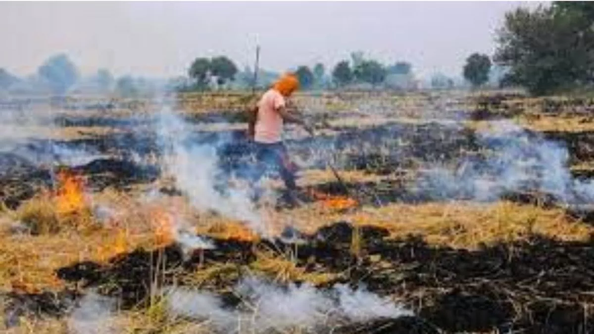 पराली जलाने पर रोक के लिए जिला से गांव स्तर तक समितियां गठित